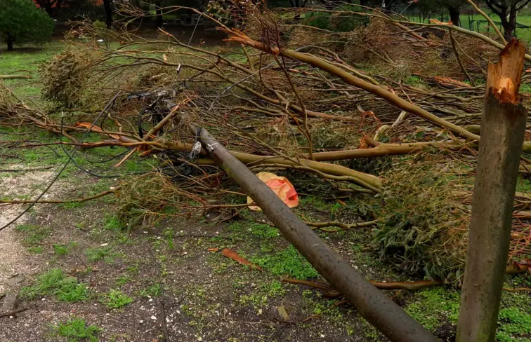 Senhora a arranjar telhado